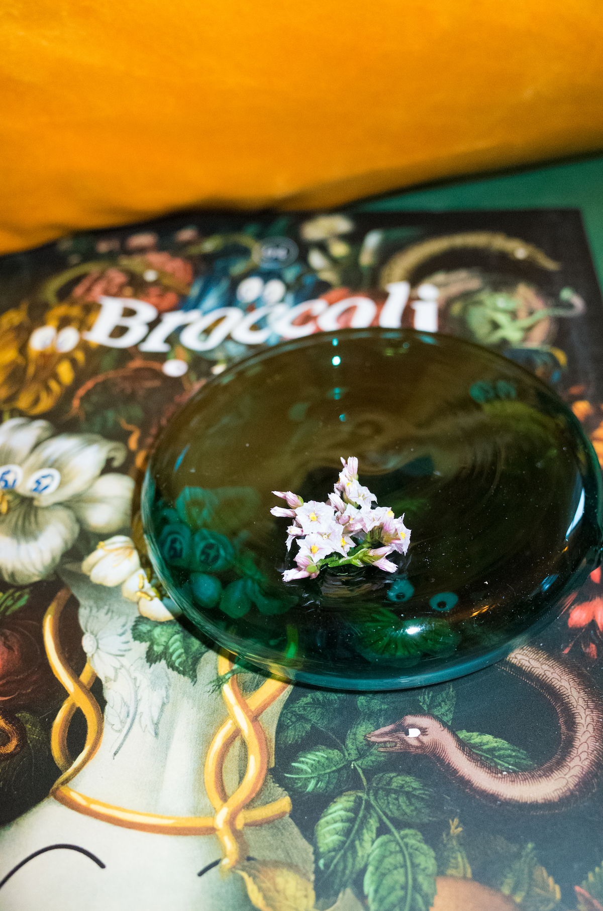 TERRENCE-0014801 copy.jpg