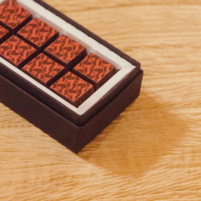 @iamjojo wrote a song called “edibles” and we’ll also be talking about them tomorrow 〰️